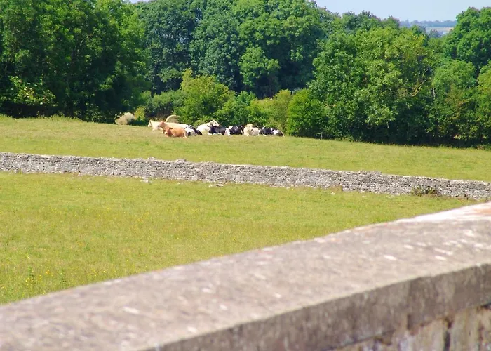 Montmartin: Proche, Piscine Partagée Et Jardin Clos Apartment *